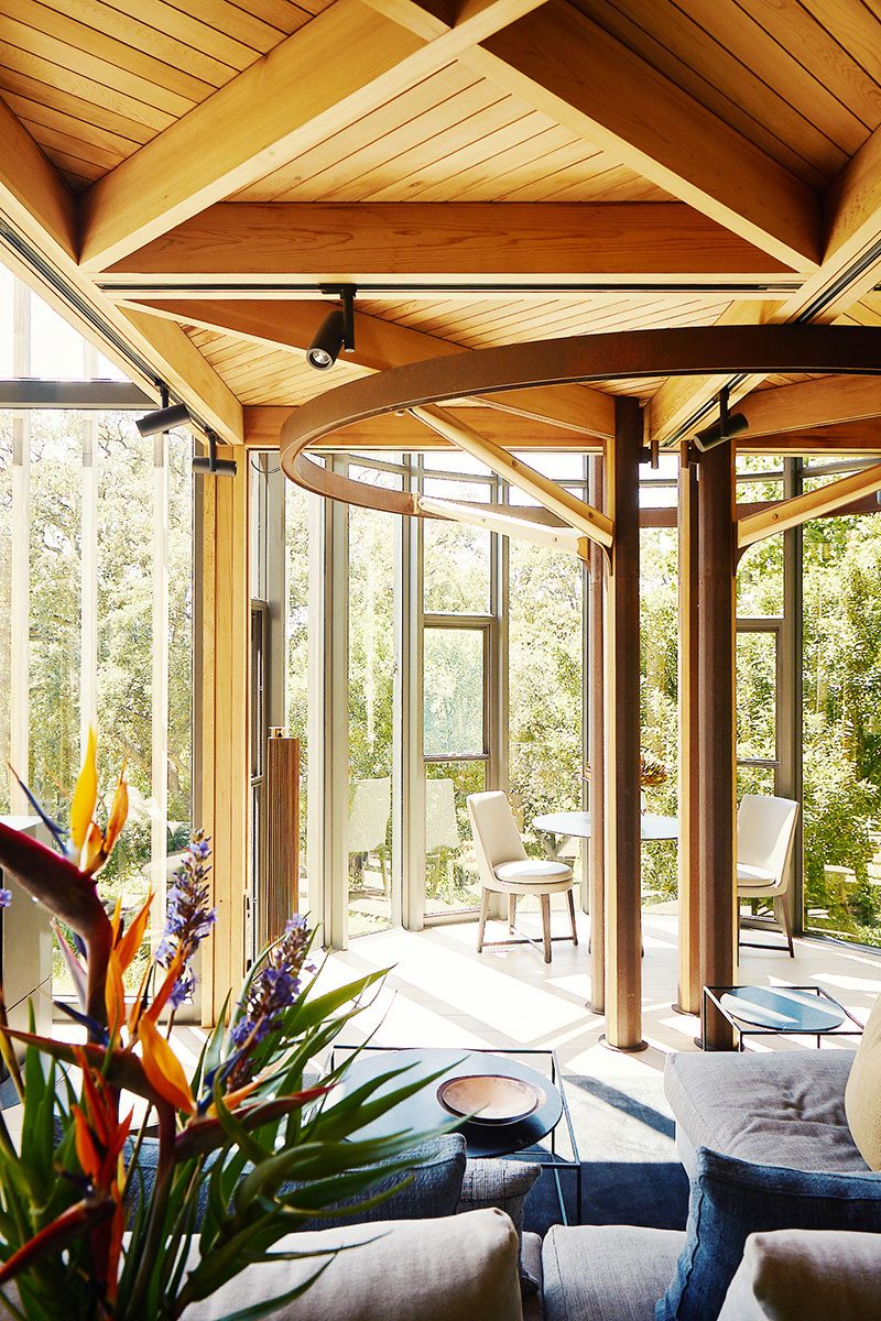 Treehouse, Cape Town